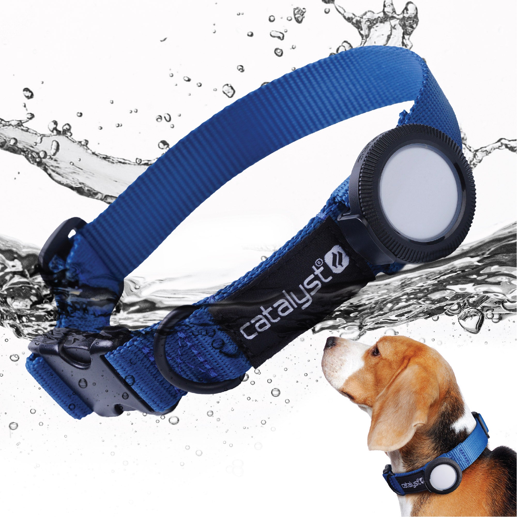 Quick Drying 1" Dog Collar with Waterproof AirTag Case