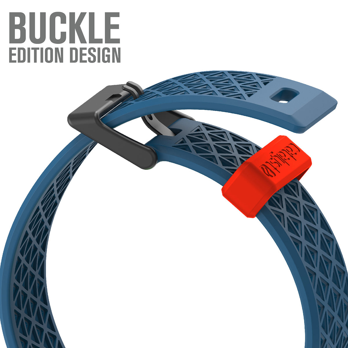 catalyst apple watch series 9 8 7 6 5 4 SE Gen 2 1 38 40 41mm sport band buckle edition showing the buckle edition design blueridge sunset text reads buckle edition design