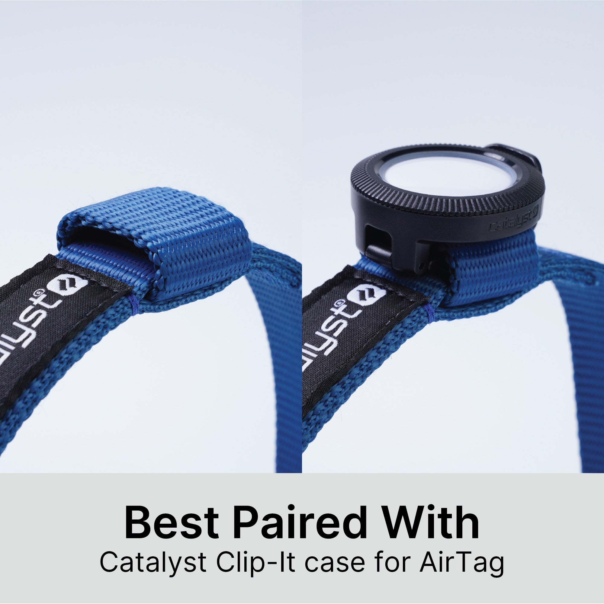 Dog Collar for AirTag