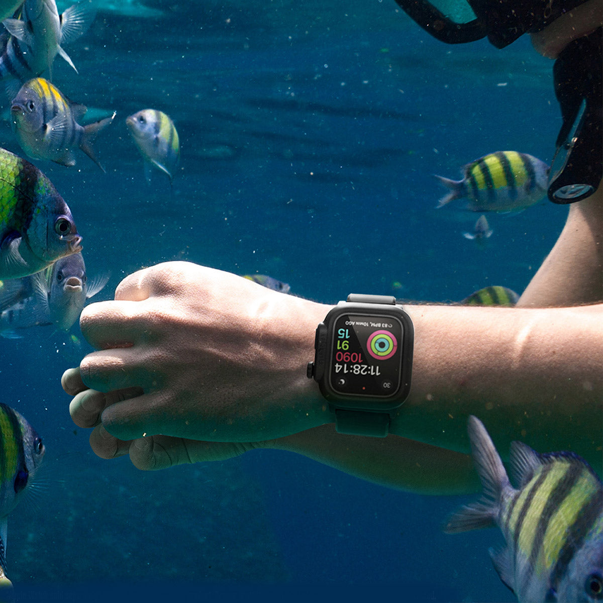catalyst apple watch series 6 5 4 se gen 2 1 40mm 44mm waterproof case band diver underwater and fishes